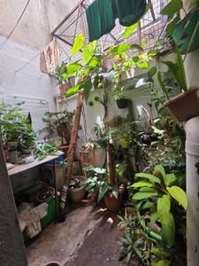Balcony Image of 1700 Sq.ft 3 BHK Independent House for rent in New Tippasandra Bengaluru for Rs. 65000