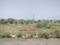 Sector 75 Plot View 1