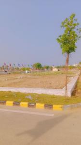 Kesar circle Plot View 2
