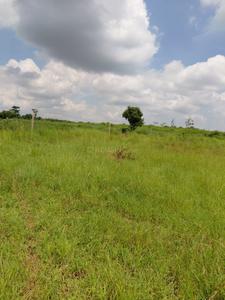 Image of 4840 Sq.ft Residential Plot / Land for sale in Mominpet, Hyderabad for Rs. 7500000