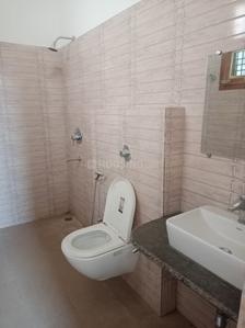 Bathroom Image of 1800 Sq.ft 3 BHK Apartment / Flat for rent in Awaleshpur Varanasi for Rs. 15000