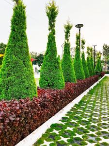 Image of 2700 Sq.ft 3 BHK Apartment / Flat for sale in Kanadiya, Indore for Rs. 16000000