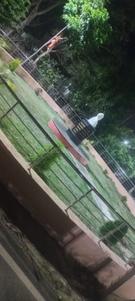 Balcony Image of 1200 Sq.ft 2 BHK Independent House for rent in Pundag Ranchi for Rs. 12000