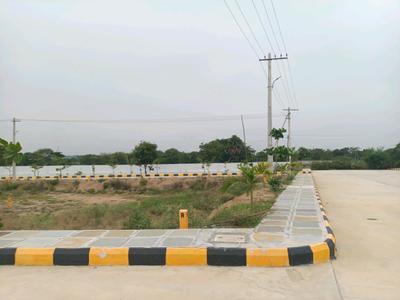 IDA Plot View 2