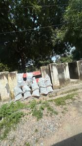 Image of 1250 Sq.ft Residential Plot / Land for sale in Gomti Nagar, Lucknow for Rs. 13000000