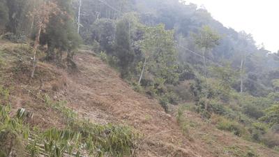 Image of 2178 Sq.ft Residential Plot / Land for sale in Kalimpong Khasmahal, Kalimpong for Rs. 1500000