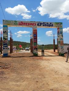 Pakala township  Plot View 2
