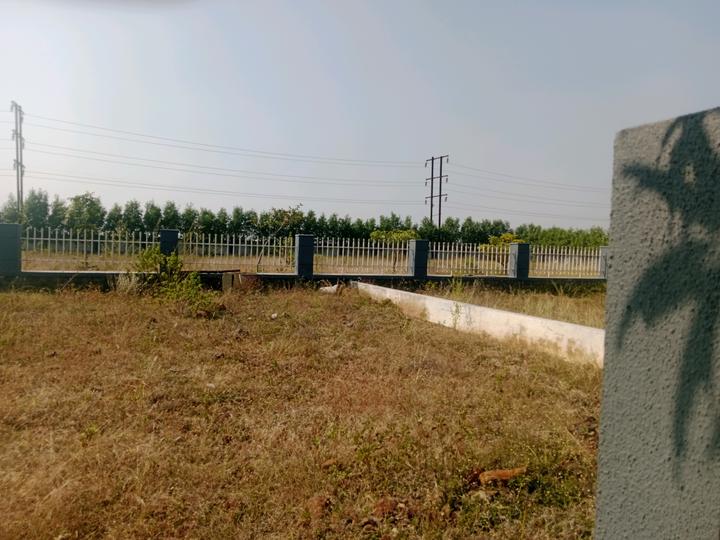 Shindaone Main Image 1