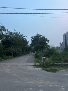 Sector 151 Plot View 2