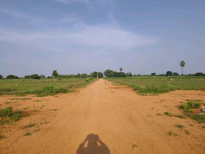 Image of 250 Sq.ft Residential Plot / Land for sale in Alair, Yadadri Bhuvanagiri for Rs. 2497500