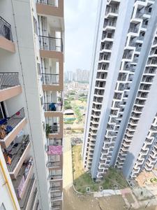 Image of 1115 Sq.ft 2 BHK Apartment / Flat for rent in Amrapali Dream Valley 2, Noida Extension, Greater Noida for Rs. 20000