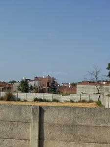 Kanpur road banthra market Plot View 3
