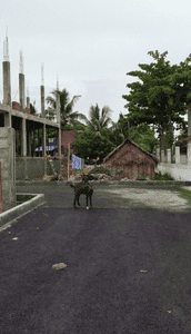 Image of 1200 Sq.ft Residential Plot / Land for sale in Tambaram, Chennai for Rs. 6360000