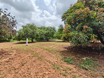 Image of 39300 Sq.ft Residential Plot / Land for sale in Kothapalle, Hyderabad for Rs. 60900000
