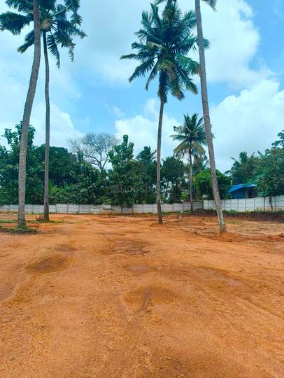 Ollukkara Main Image 1