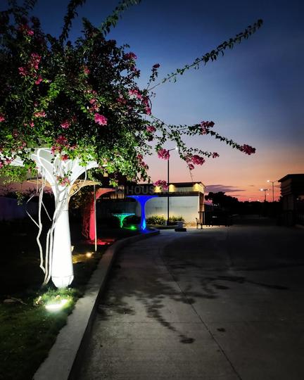 Semariya 2 Main Image 1