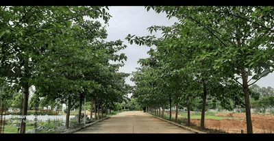 Image of 2760 Sq.ft Residential Plot / Land for sale in S.Medihalli, Bengaluru for Rs. 20000000