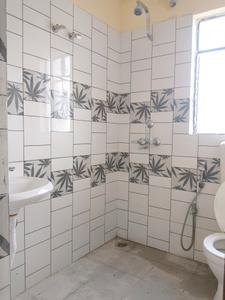 Common Bathroom Image of 939 Sq.ft 3 BHK Apartment / Flat for rent in Gems City, Uttar Kazirhat Kolkata for Rs. 14000