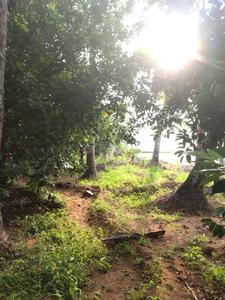Image of 21780 Sq.ft Residential Plot / Land for sale in Cherpu, Thrissur for Rs. 7500000