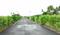 Anand Nagar Plot View 2