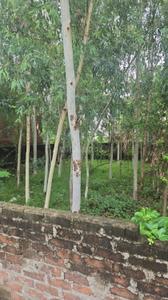 Image of 2500 Sq.ft Residential Plot / Land for sale in Mohmmadpur Majara, Lucknow for Rs. 5000000