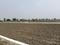 Kakrala Main Image 1