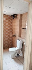 Bathroom Image of 966 Sq.ft 2 BHK Apartment / Flat for rent in Phase 2 Noida for Rs. 20000