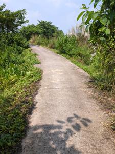 Image of 3600 Sq.ft Residential Plot / Land for sale in Joka, Kolkata for Rs. 999898