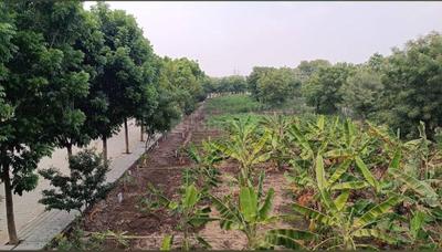 Image of 1200 Sq.ft Residential Plot / Land for sale in Gauribidanur, Chikballapur District for Rs. 1798800