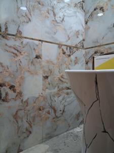 Common Bathroom Image of 1050 Sq.ft 2 BHK Apartment / Flat for sale in RN Metro Heights, Sector 72 Noida for Rs. 3500000