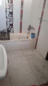Bathroom Image of 2000 Sq.ft 5 BHK Independent House for sale in Sector 53 Mohali for Rs. 51500000