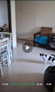 Hall Image of 1488 Sq.ft 3 BHK Apartment / Flat for sale in Skyline Oasis, Ghatkopar West Mumbai for Rs. 33000000
