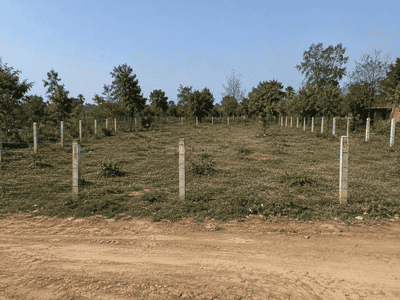 Image of 2574 Sq.ft Residential Plot / Land for sale in Tangi, Cuttack for Rs. 2574000