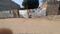 Triveni nagar ahibarampur Plot View 2