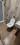 Bathroom Image of NAVKAR in Vikhroli West, Mumbai