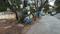 Indiranagar Plot View 2