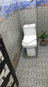 Bathroom Image of 450 Sq.ft 2 BHK Independent House for sale in Shri Krishna Gagan Enclave Phase 1, Lal Kuan Ghaziabad for Rs. 3700000