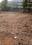 Jagannaickpur Plot View 2