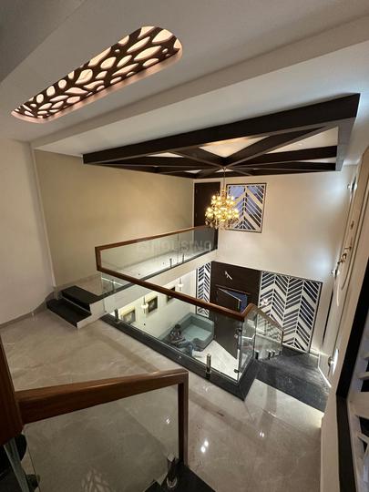 Nipania Main Image 1