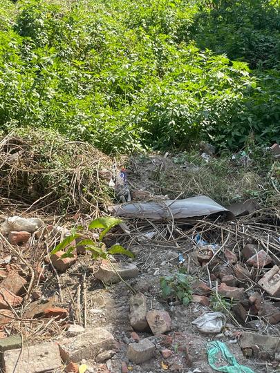 Patthri Bagh Main Image 1