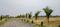 Royal Rajwada Plot View 2