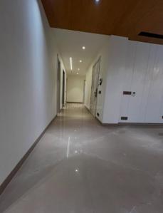 Hall Image of 1900 Sq.ft 3 BHK Builder Floor for sale in DLF Phase 1 Gurgaon for Rs. 35000000