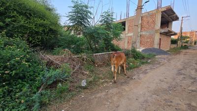Image of 1800 Sq.ft Residential Plot / Land for sale in Sector 112, Gurgaon for Rs. 23000000
