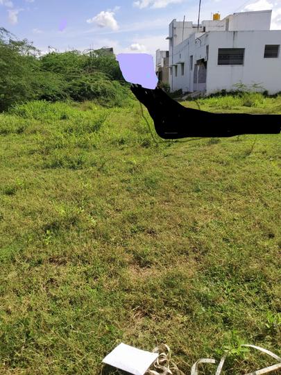 Kanchipuram Main Image 1