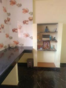 Kitchen Image of 160 Sq.ft 1 RK Apartment / Flat for rent in RS Puram Coimbatore for Rs. 5500