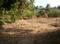 Land Main Image 1