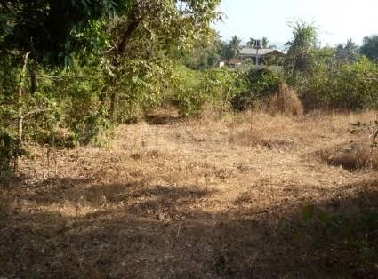 Land Main Image 1