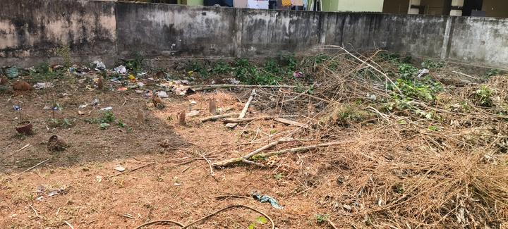 Sujatha Nagar Main Image 1