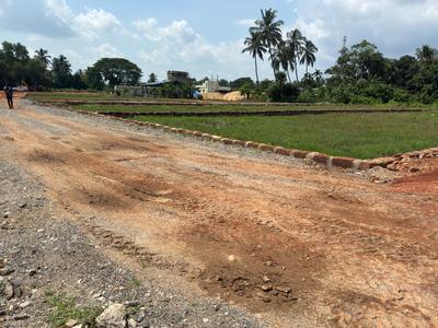 Image of 1250 Sq.ft Residential Plot / Land for sale in Uttara, Bhubaneswar for Rs. 4300000
