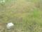 Golden Park Main Image 1